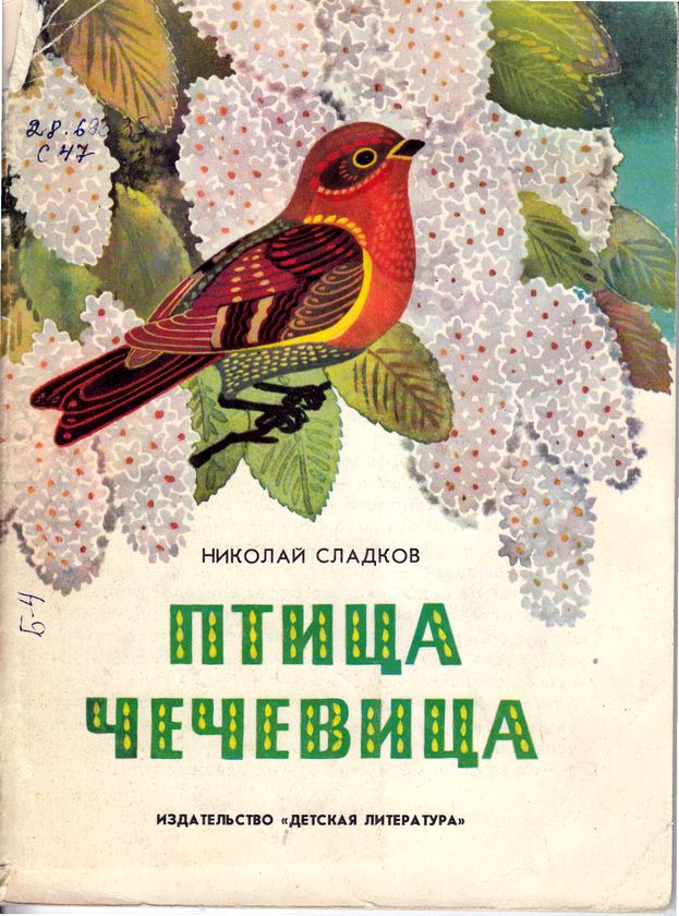 Сибирская чечевица (Carpodacus roseus). Птицы Сибири.